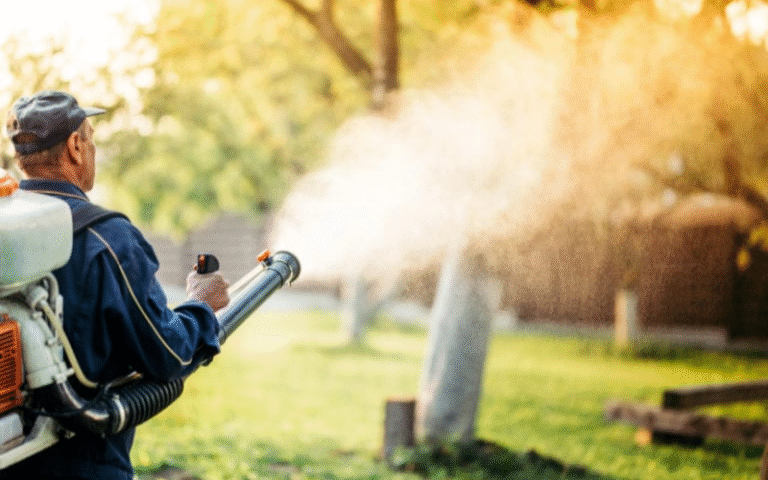 Fast Pest Control Services: Quick Relief From Unwanted Pests