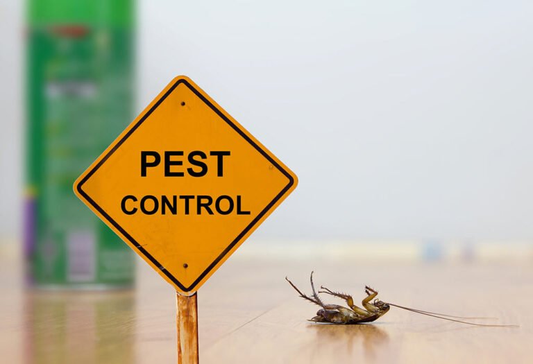 Pest Control Services in Sahiwal for Homes & Businesses
