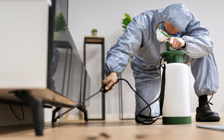 Your Complete Guide to Safe Pest Control