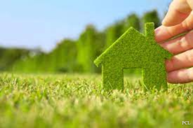 Eco-Friendly Pest Control Services: Safe Solutions for Your Home and Environment